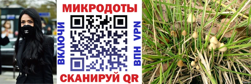 закладка  darknet телеграм  Псилоцибиновые грибы мухоморы  Анива 